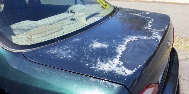 protect car paint from sunlight