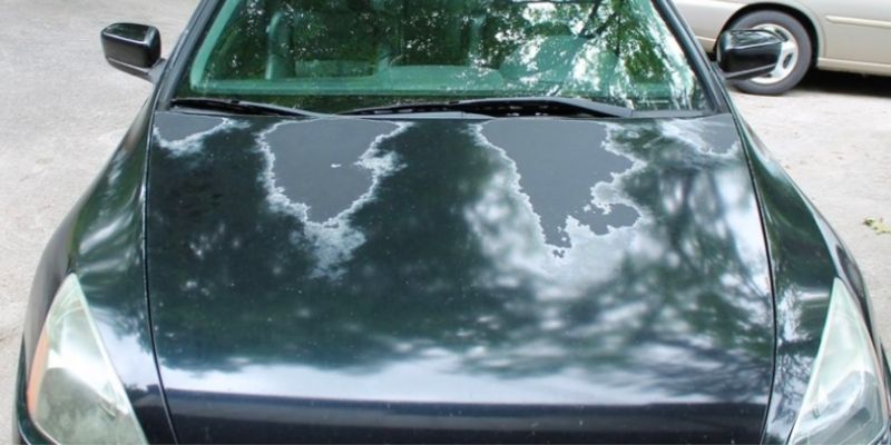 Read this post compete and know the best tips to protect car paint from sunlight. 